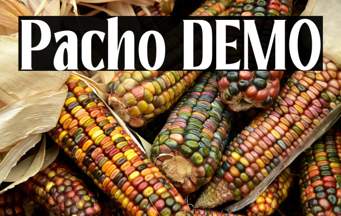 Pacho DEMO Example 3