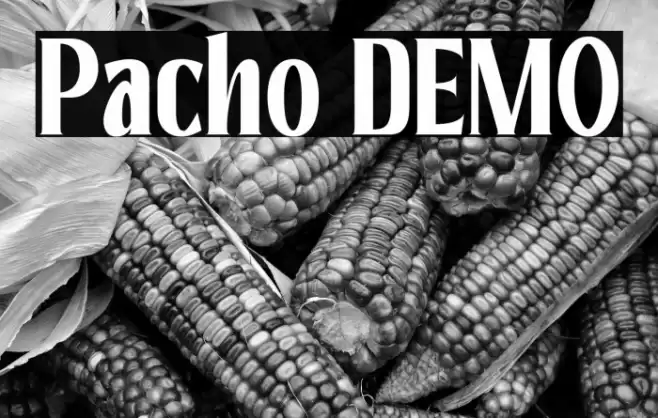 Pacho DEMO Font examples