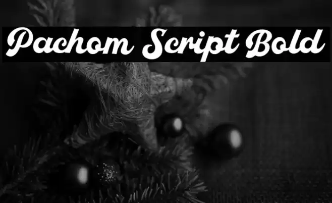 Pachom Script Bold Font examples