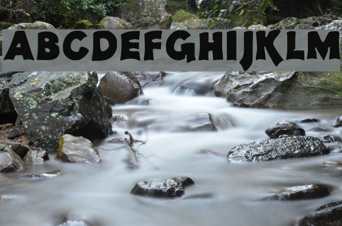 Pachyderm Font examples