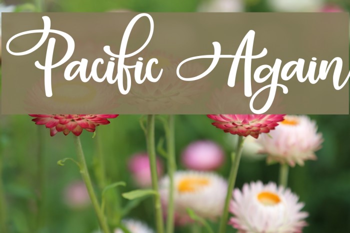 Pacific Again Шрифта examples