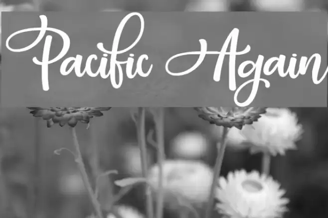 Pacific Again Font examples