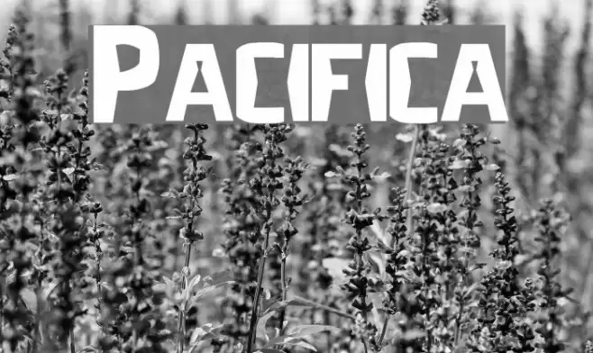 Pacifica Font examples