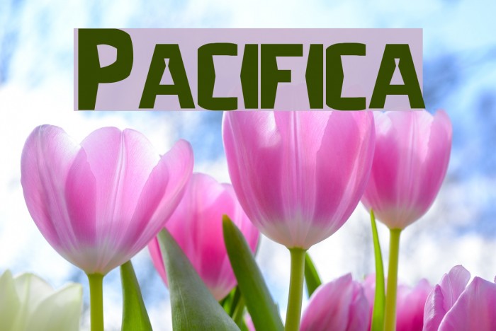 Pacifica لخطوط تنزيل examples