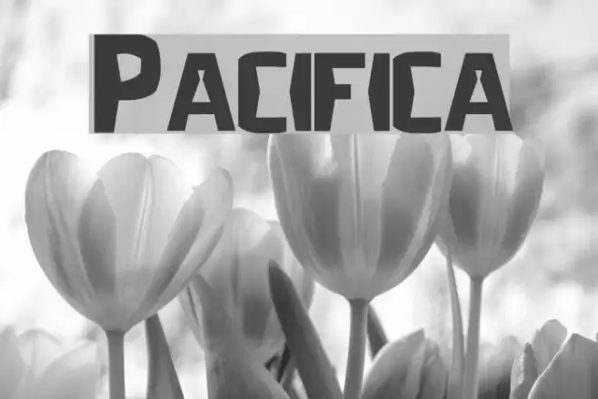 Pacifica Font examples