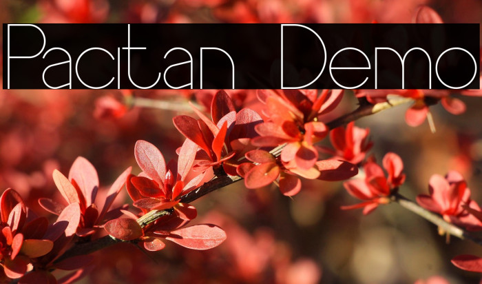 Pacitan Demo Example 3