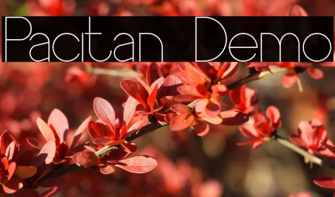 Pacitan Demo Example 3