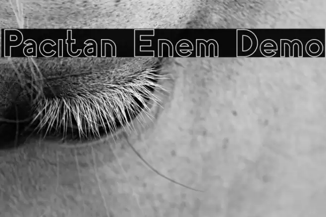Pacitan Enem Demo Font examples