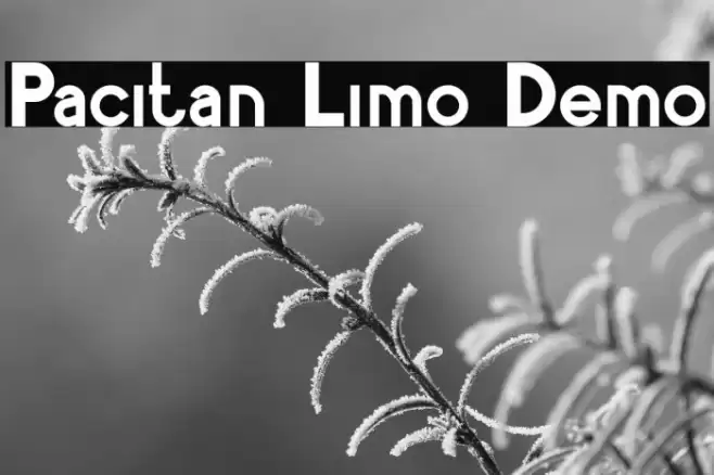 Pacitan Limo Demo Font examples