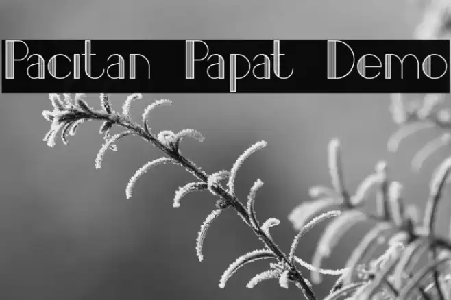 Pacitan Papat Demo Font examples