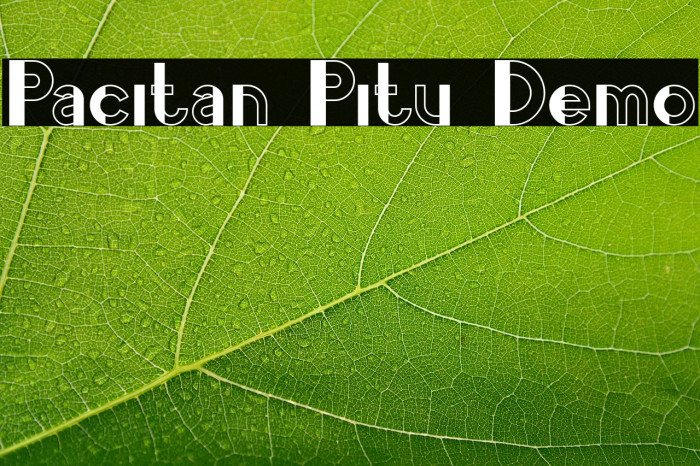 Pacitan Pitu Demo Example 2