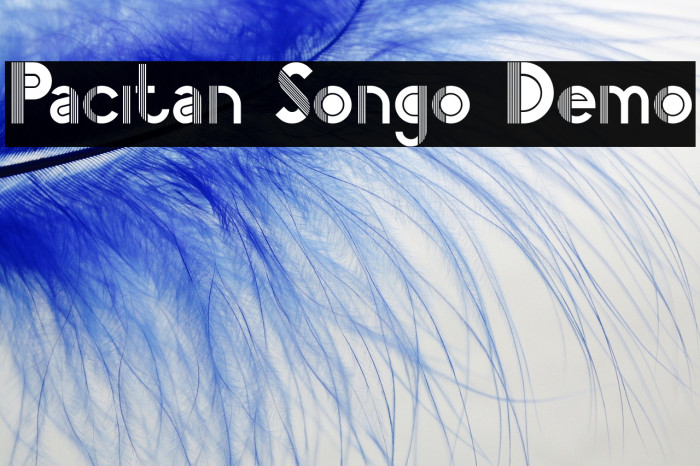 Pacitan Songo Demo Example 2