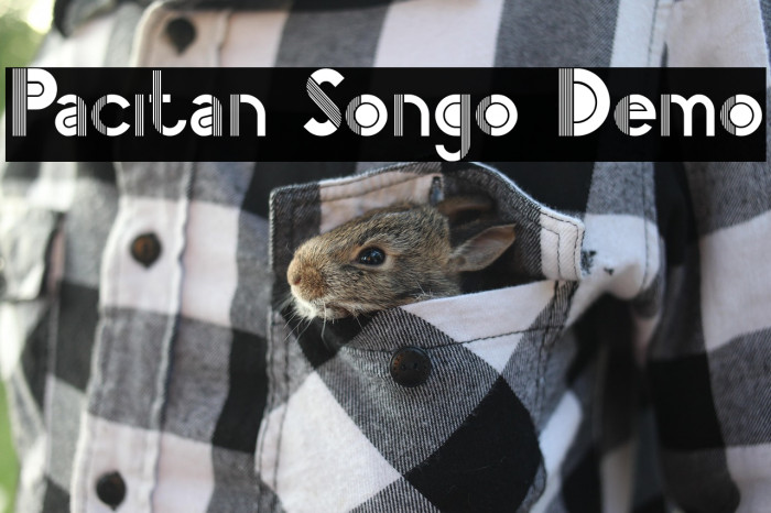 Pacitan Songo Demo Example 3