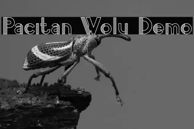 Pacitan Wolu Demo Polices examples