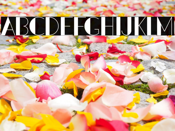 PacitanLoroDemo Example 2