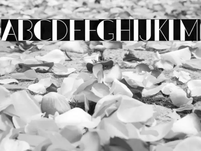 PacitanLoroDemo Font examples