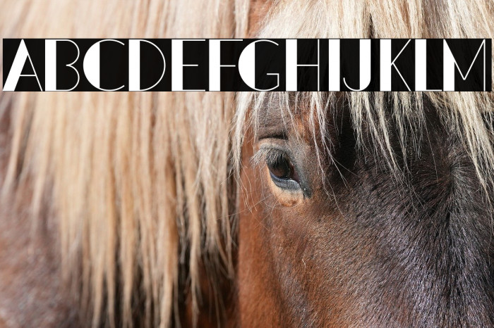 PacitanLoroDemo Example 3