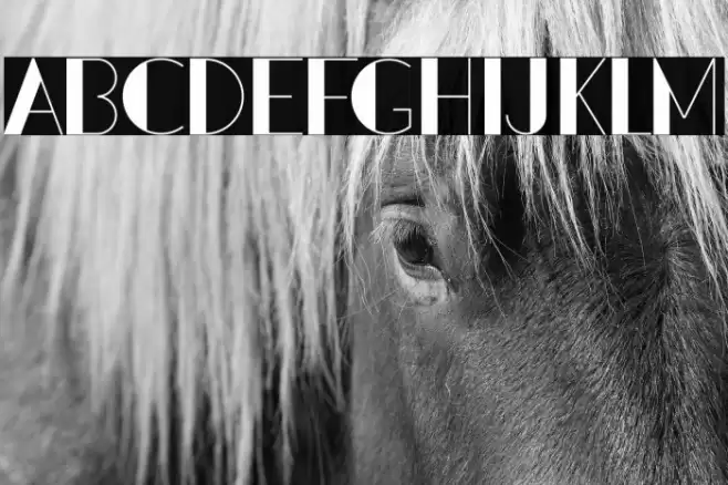 PacitanLoroDemo Font examples