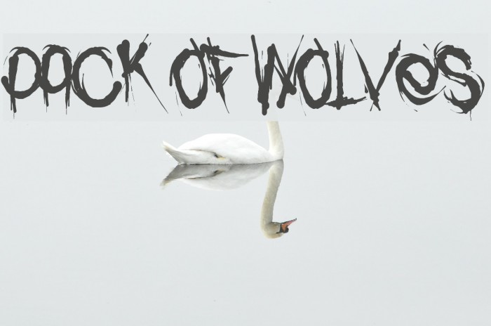 Pack of Wolves Polices examples