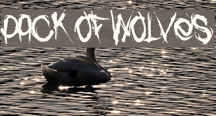Pack of Wolves Polices examples