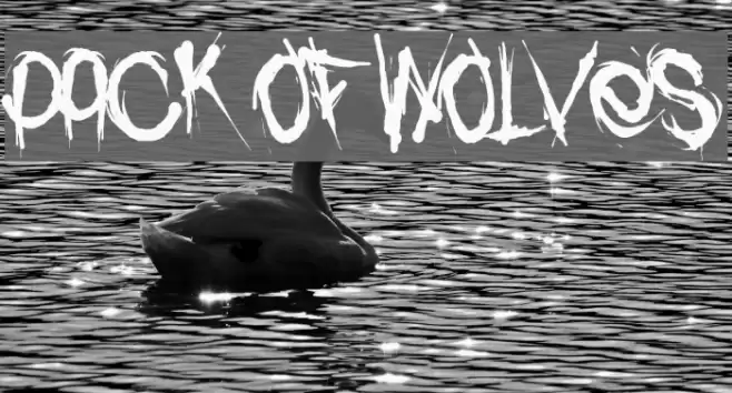 Pack of Wolves Font examples