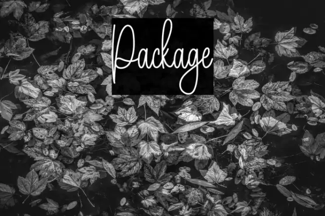 Package Fuentes examples