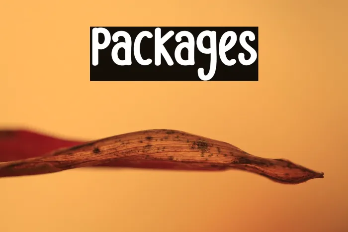 Packages Example 1