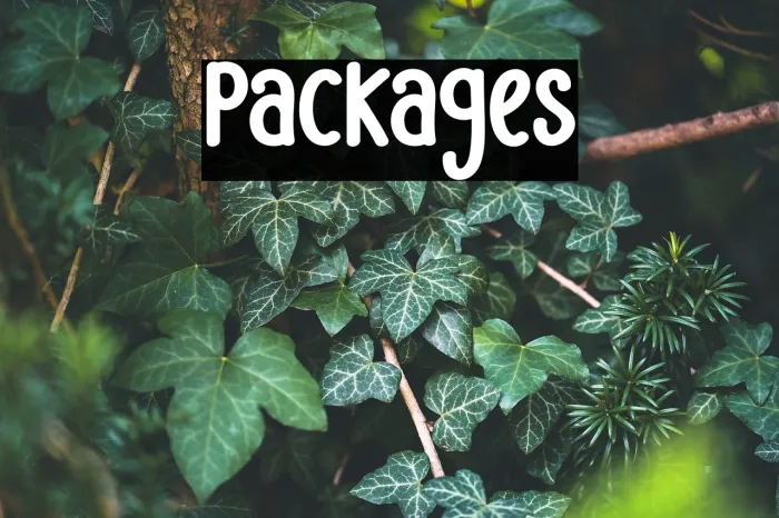 Packages Example 2