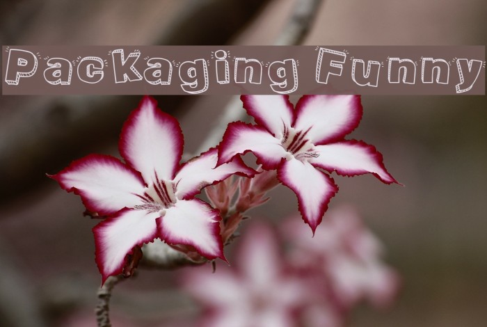 Packaging Funny Font examples