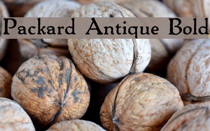 Packard Antique Bold Шрифта examples