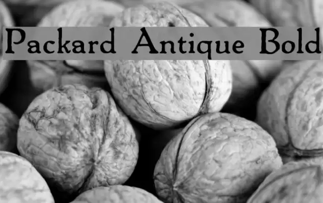 Packard Antique Bold Font examples