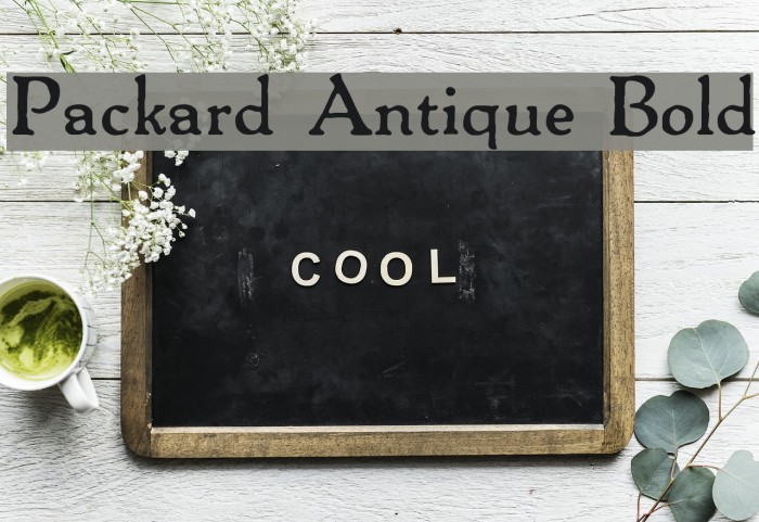 Packard Antique Bold Шрифта examples