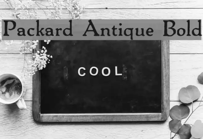 Packard Antique Bold Font examples