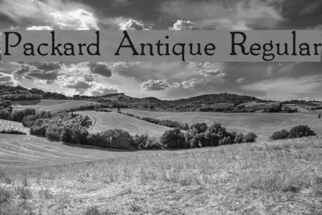 Packard Antique Regular Font examples