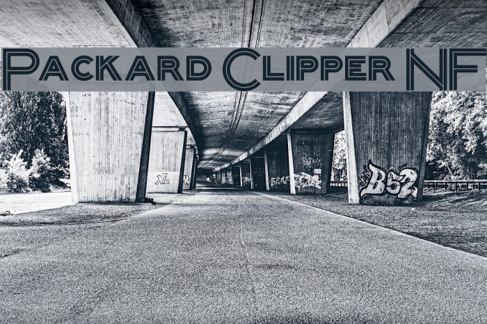 Packard Clipper NF Font examples