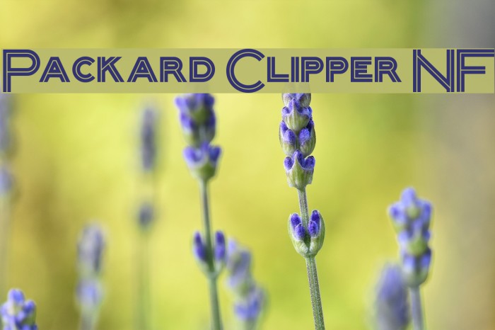 Packard Clipper NF Font examples