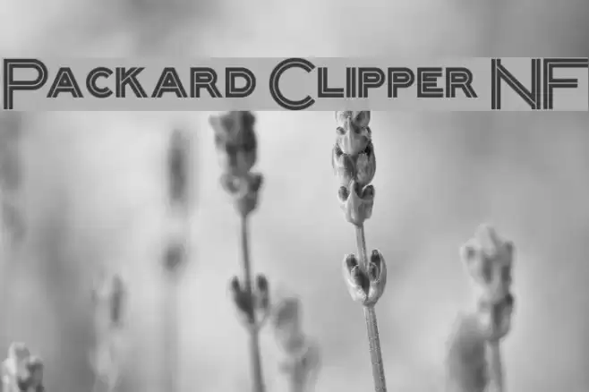 Packard Clipper NF Font examples