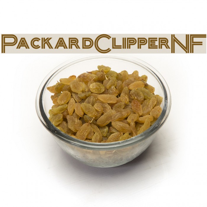 PackardClipperNF Polices examples