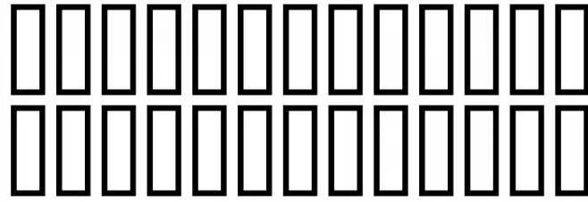 Packer フォント 小文字