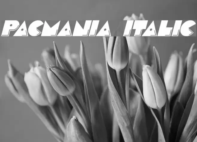 Pacmania Italic Font examples