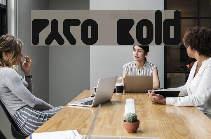 Paco  Bold Example 2