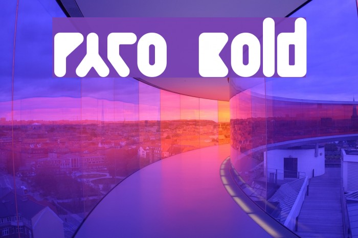 Paco  Bold Example 3