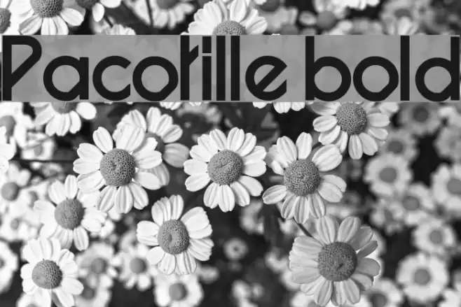 Pacotille bold Font examples