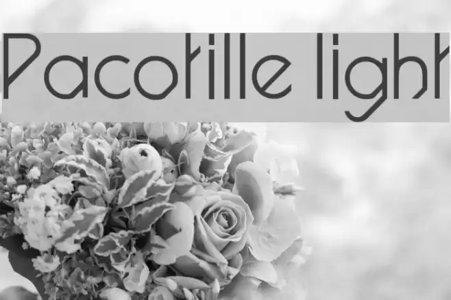 Pacotille light Font examples