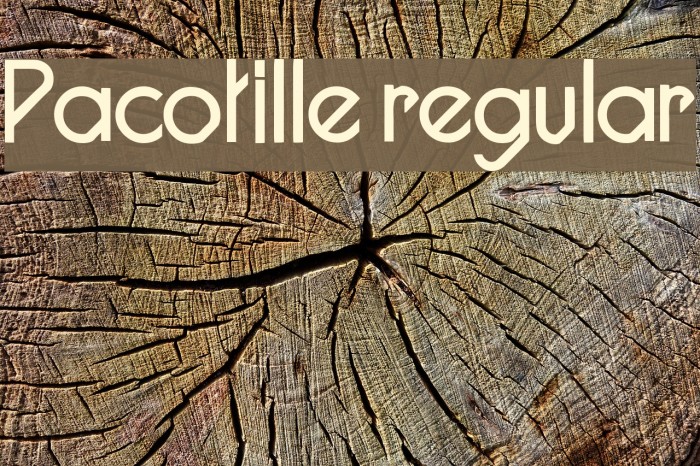 Pacotille regular Font examples