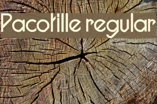Pacotille regular Example 2