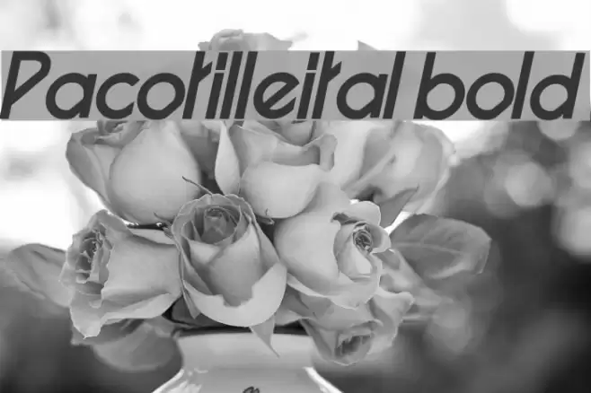 Pacotilleital bold Font examples