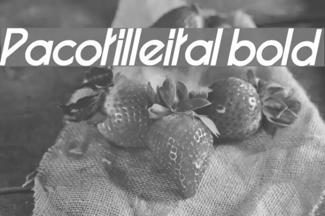 Pacotilleital bold Font examples