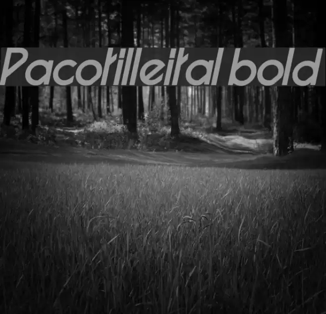 Pacotilleital bold Font examples