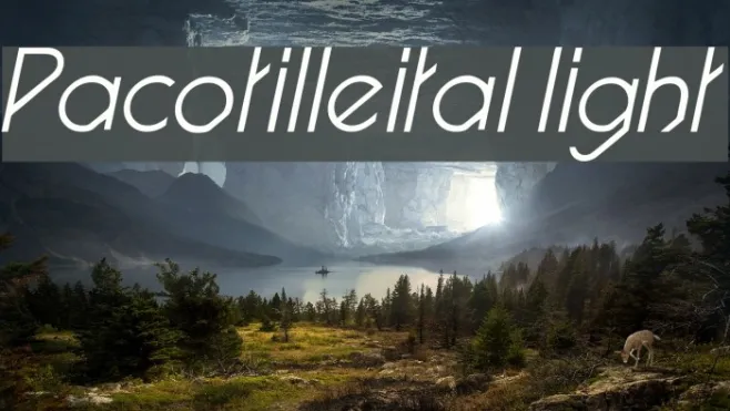 Pacotilleital light Example 2